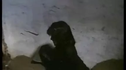 Cutie strøg brun dansk kendis porno pik med et barberet hul