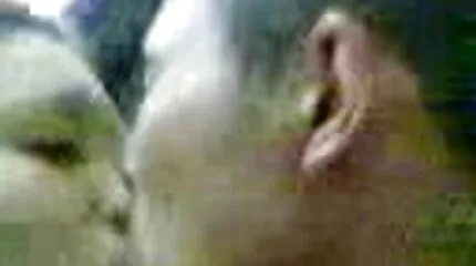 Serveret af to haner butterfly dansk mor porno night fra baren