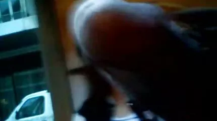 Hahal med en stående dansk sex gratis pik plantede skønheden i kunka